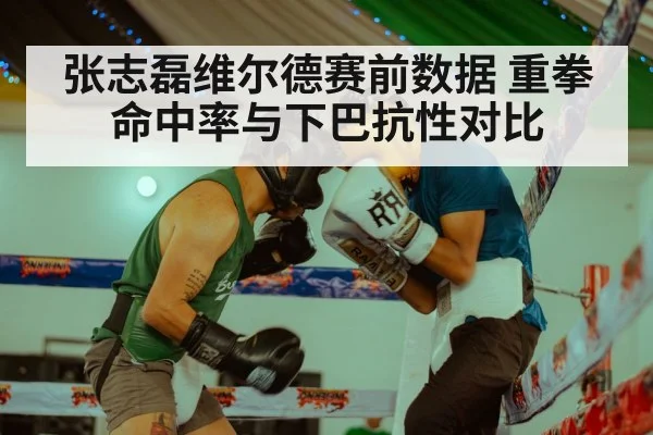 张志磊维尔德赛前数据 重拳命中率与下巴抗性对比